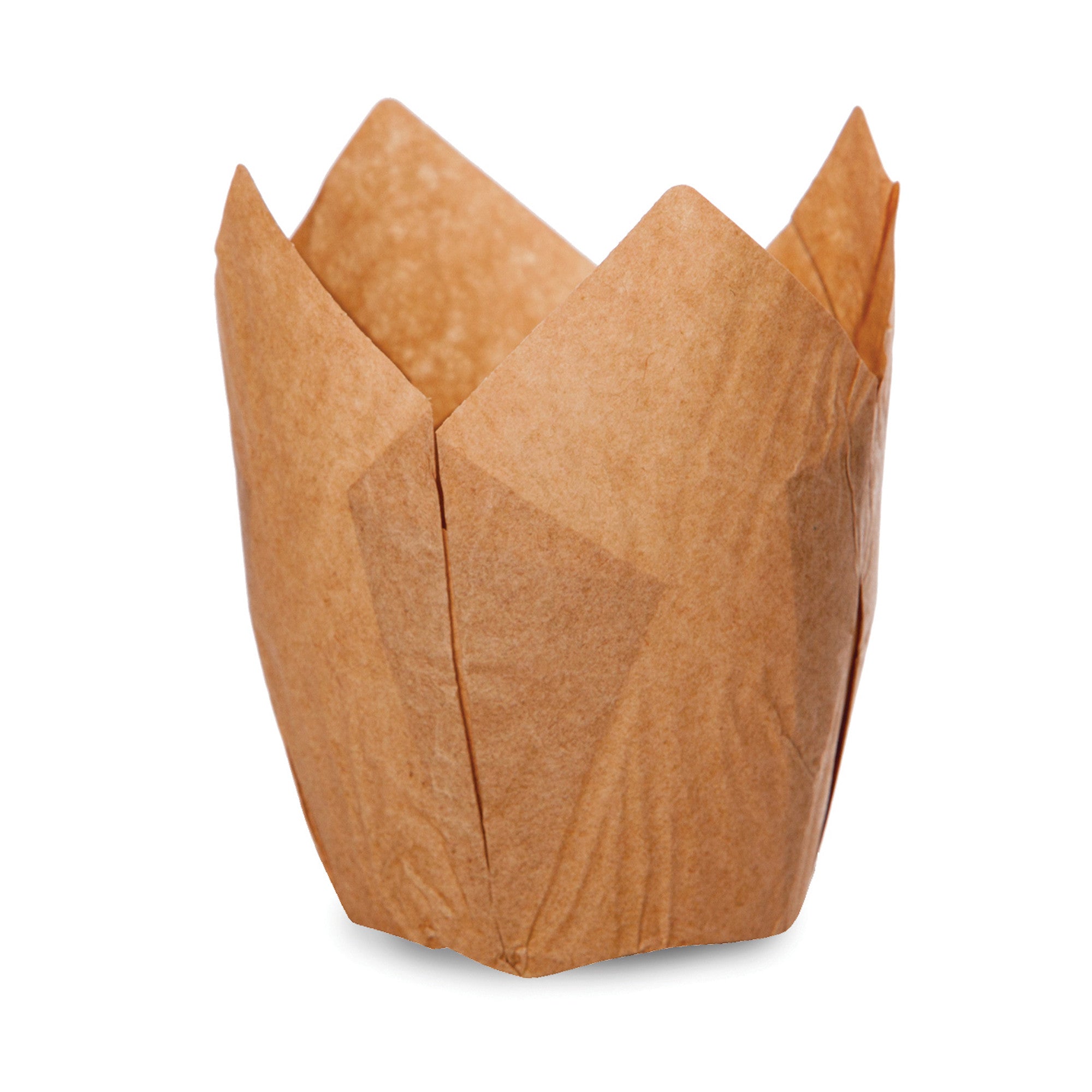 Tulip Cups, TG0033 - Welcome Home Brands