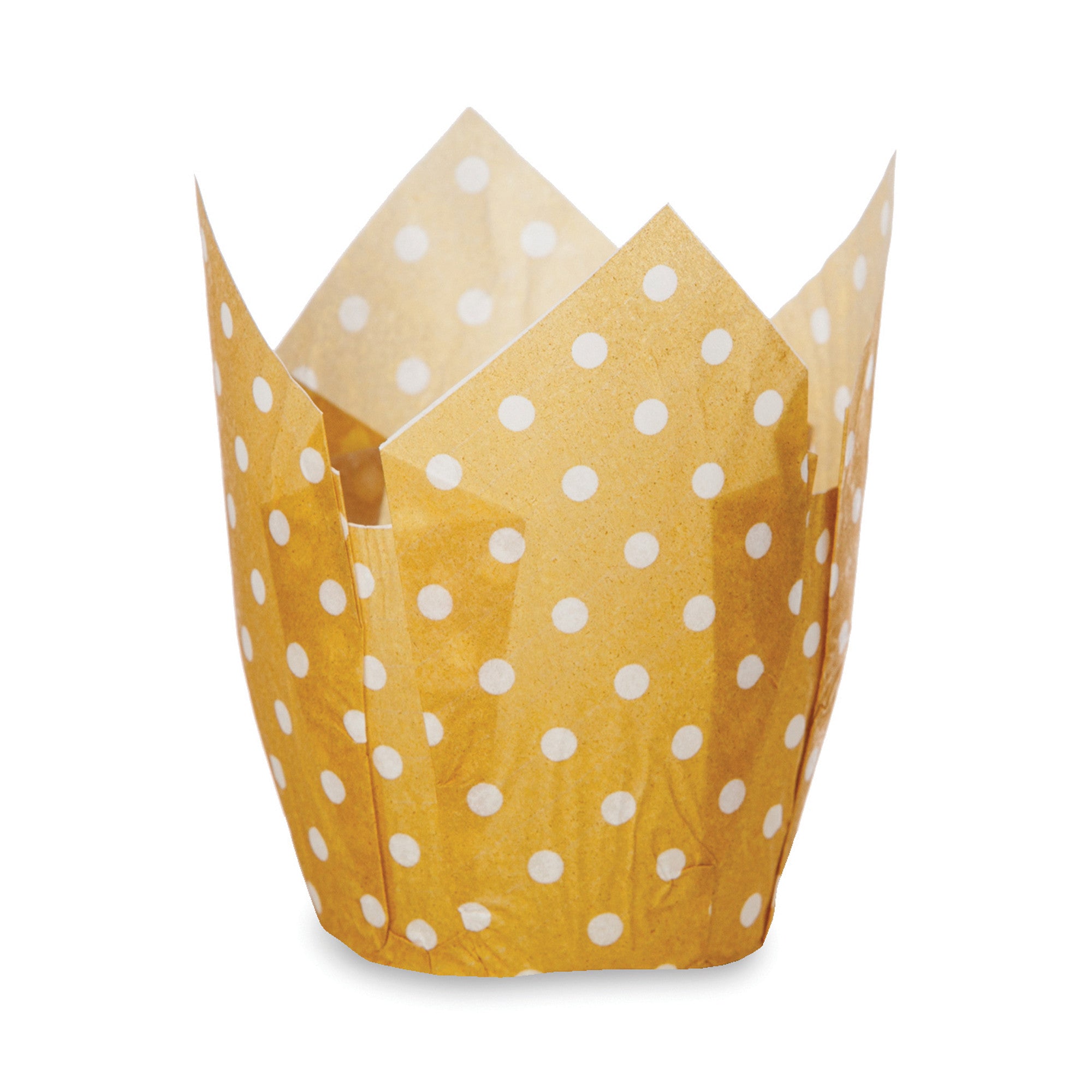 Tulip Cups, TG0038 - Welcome Home Brands